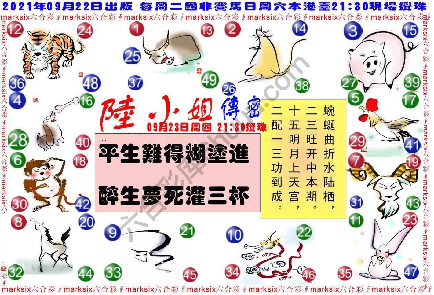 陆小姐传密