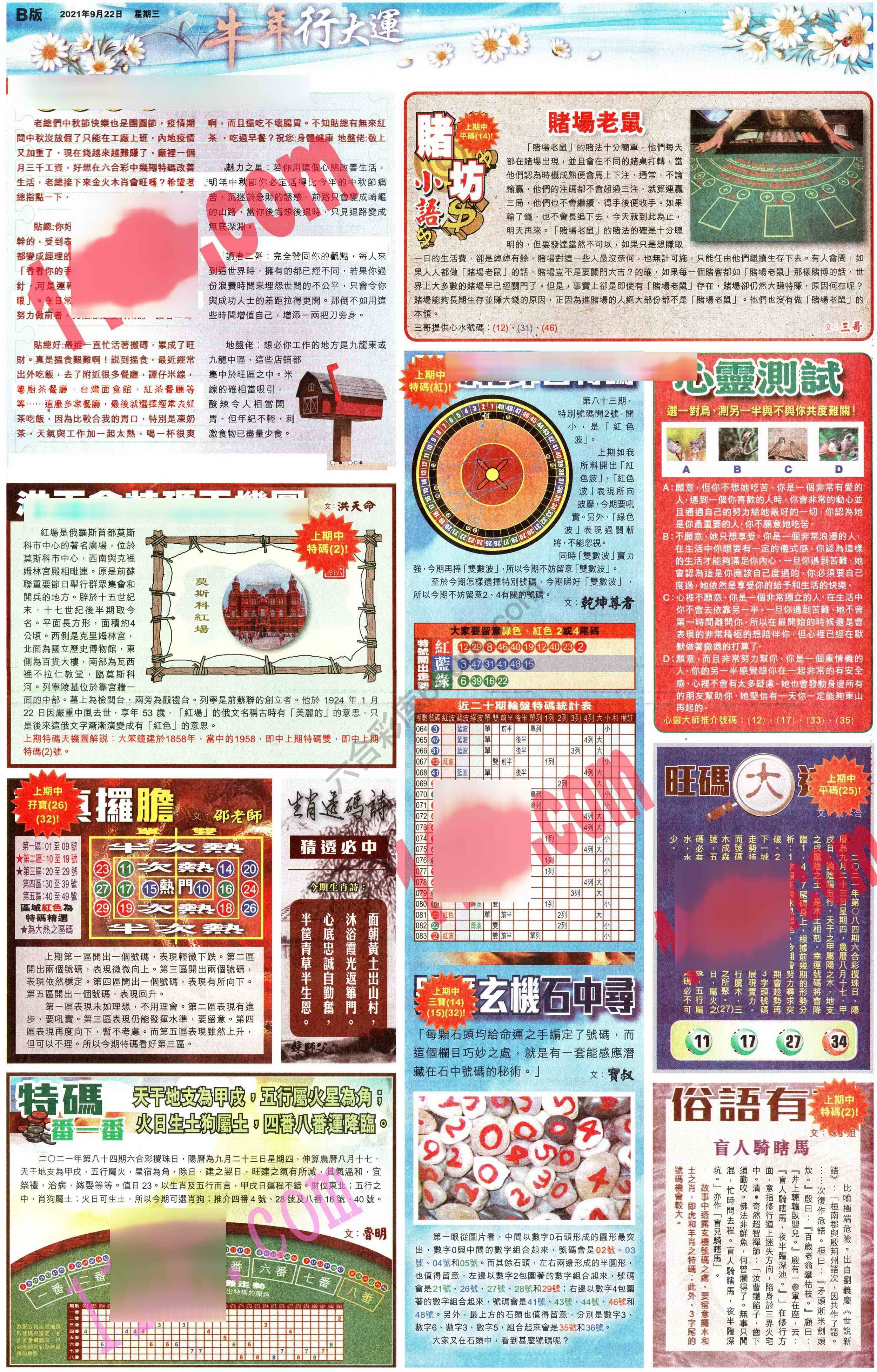 大版贴士皇