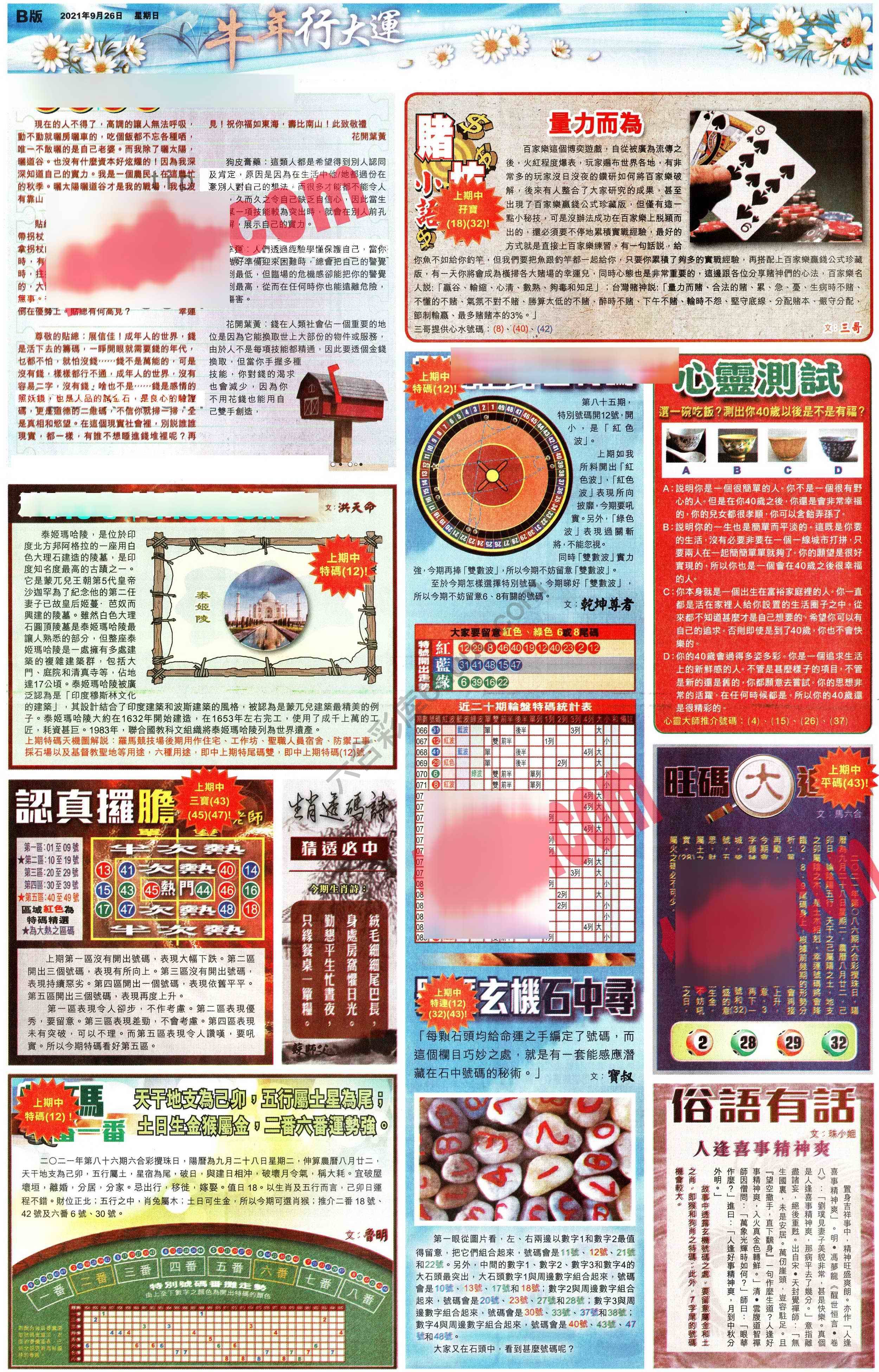 大版贴士皇