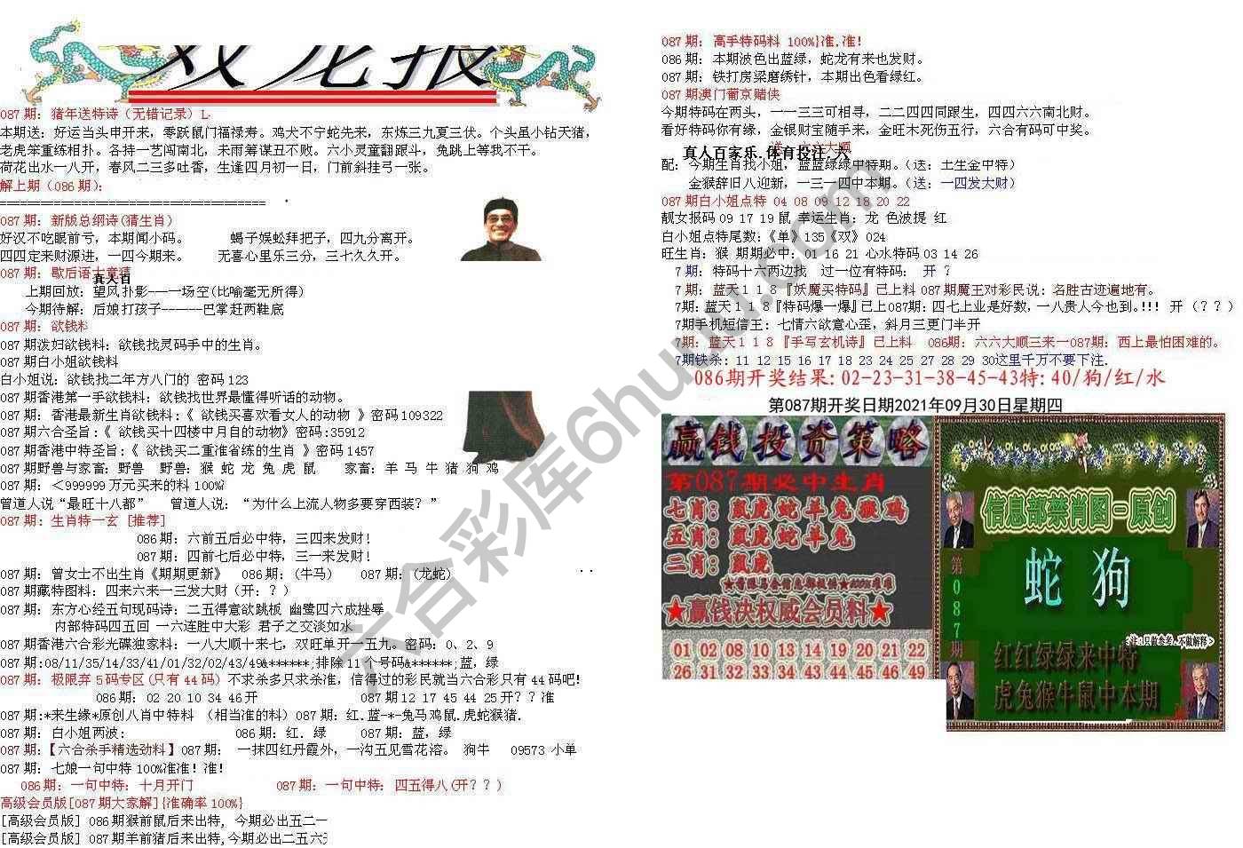 双龙报