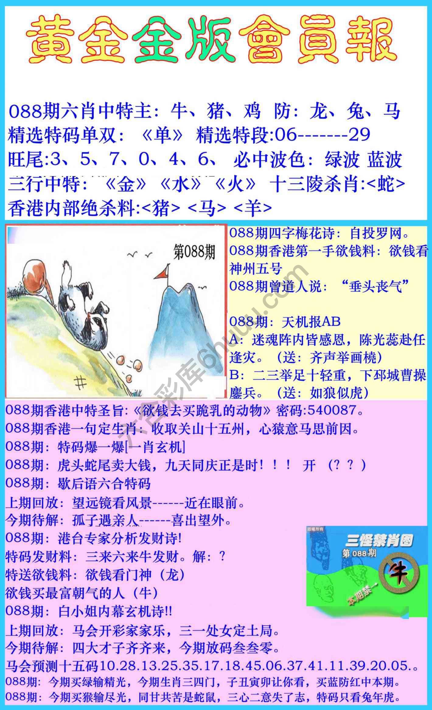 黄金金版会员报