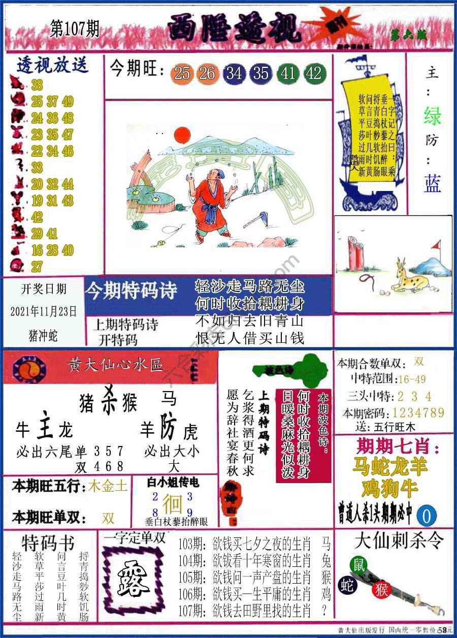 西陲透视（正版）