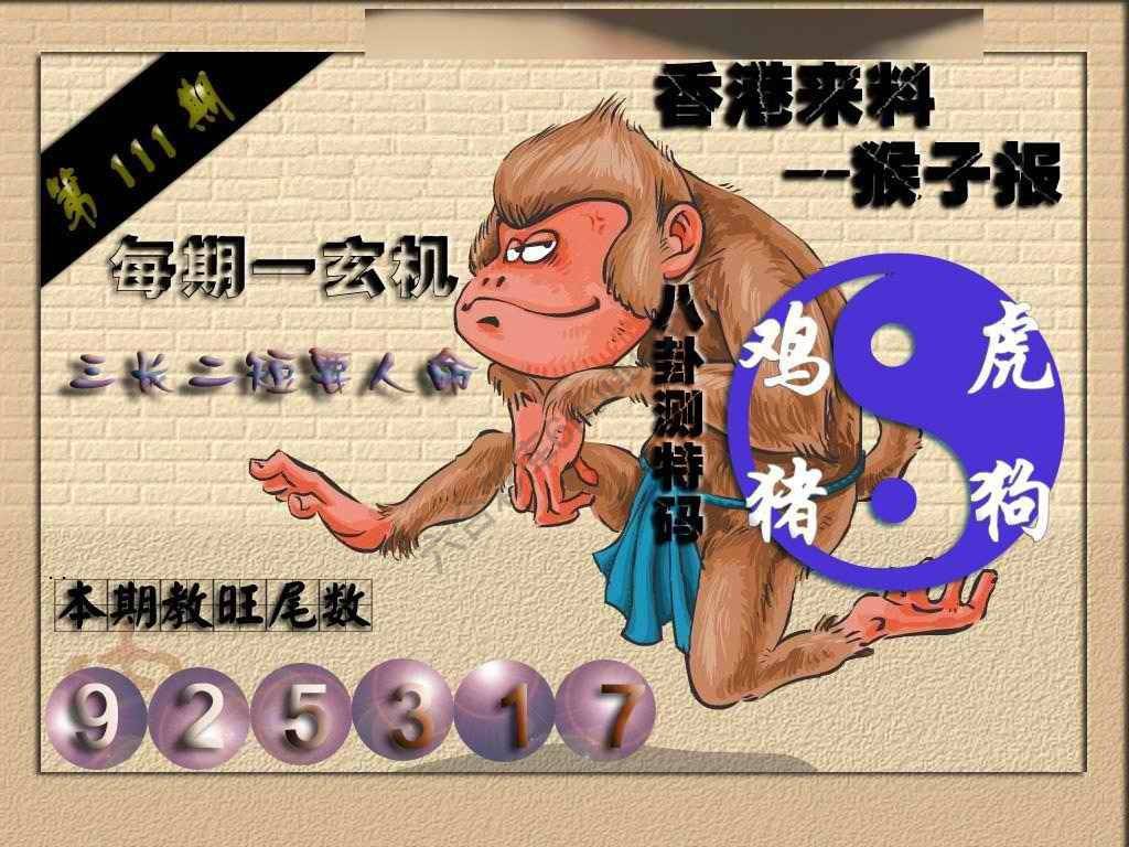 猴子报