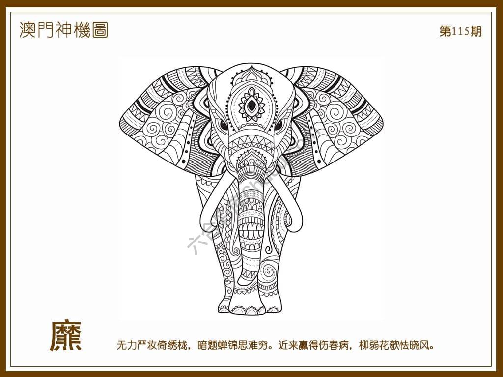 澳门神机图