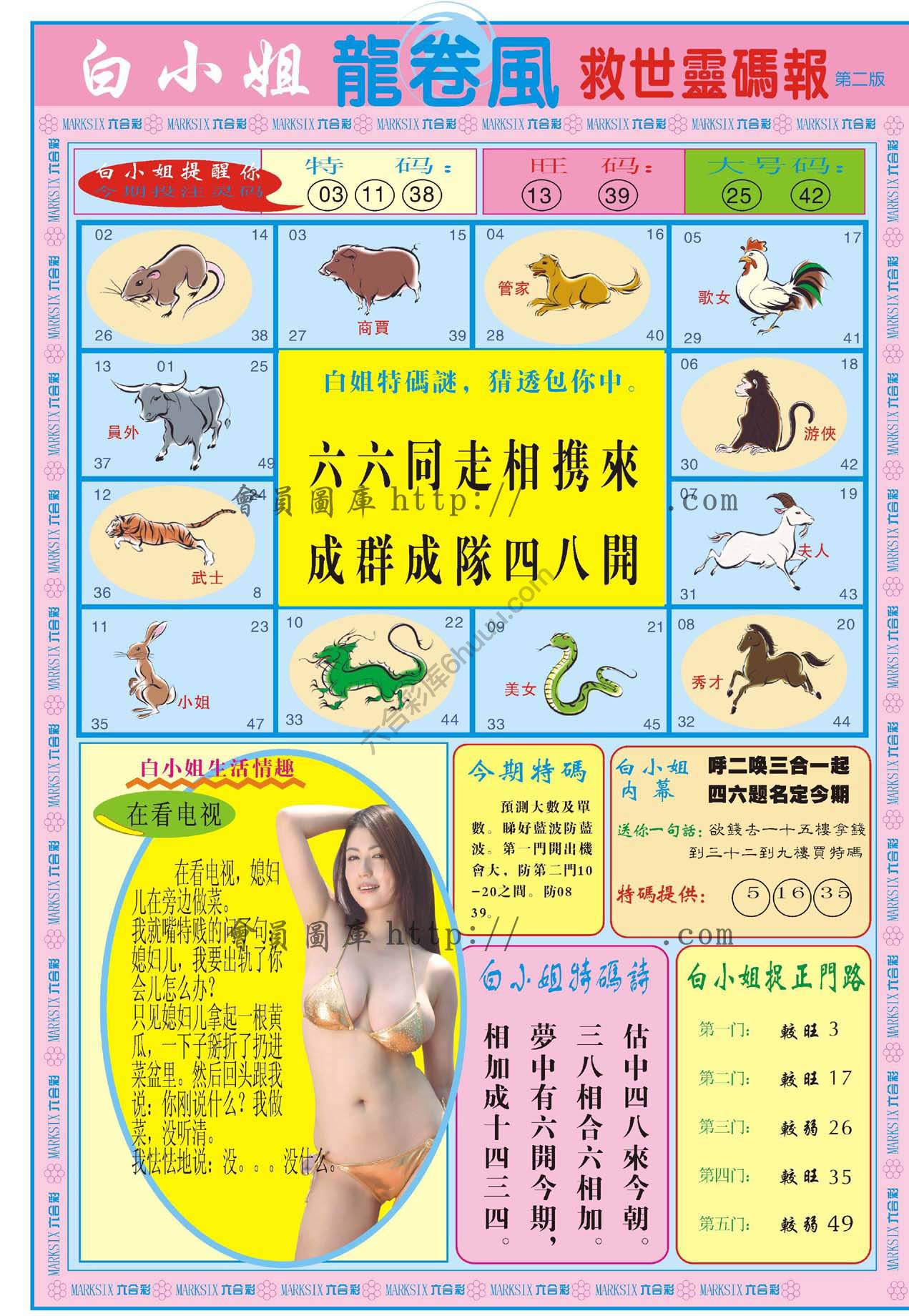 白小姐救世灵码报
