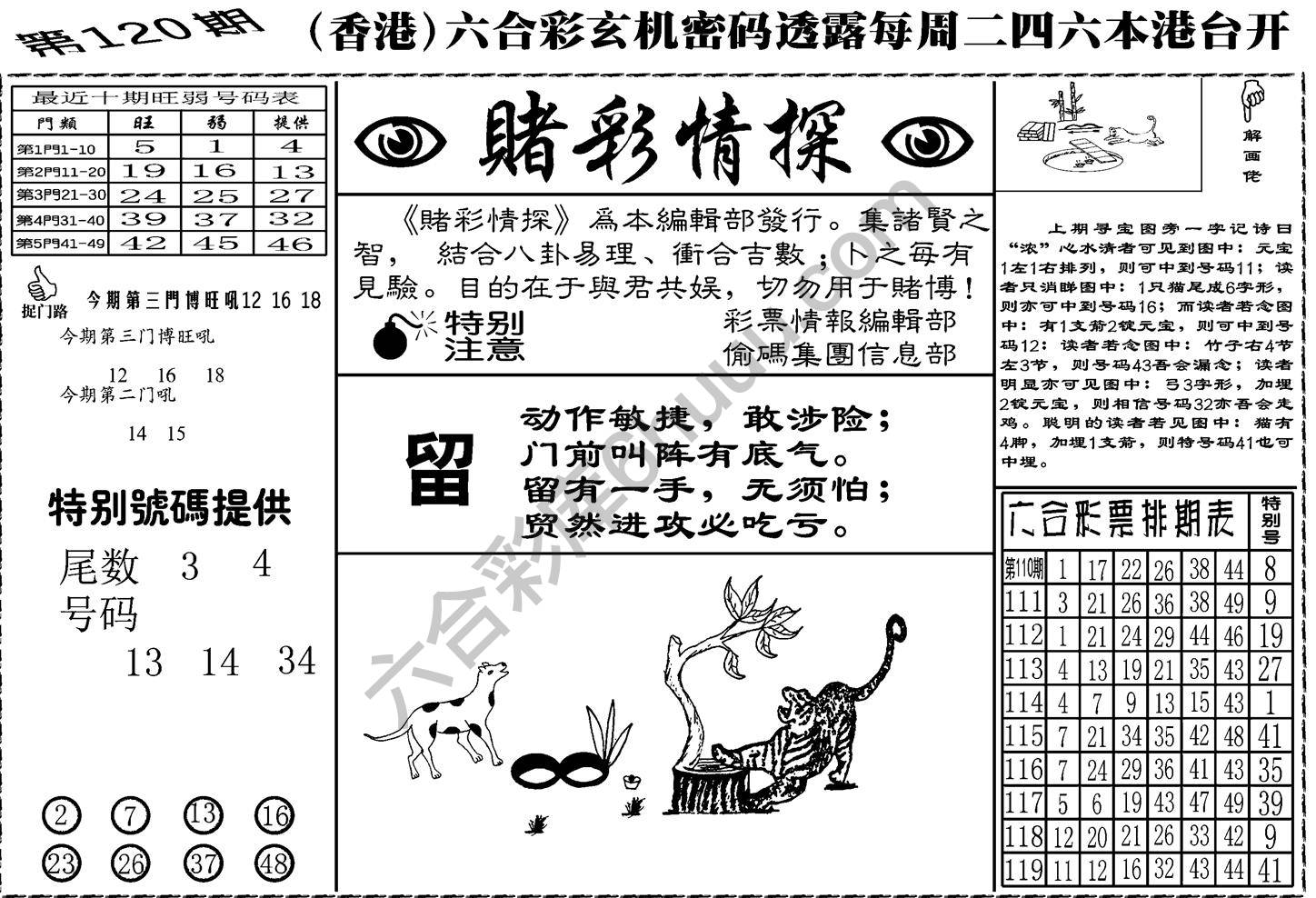 赌彩情探