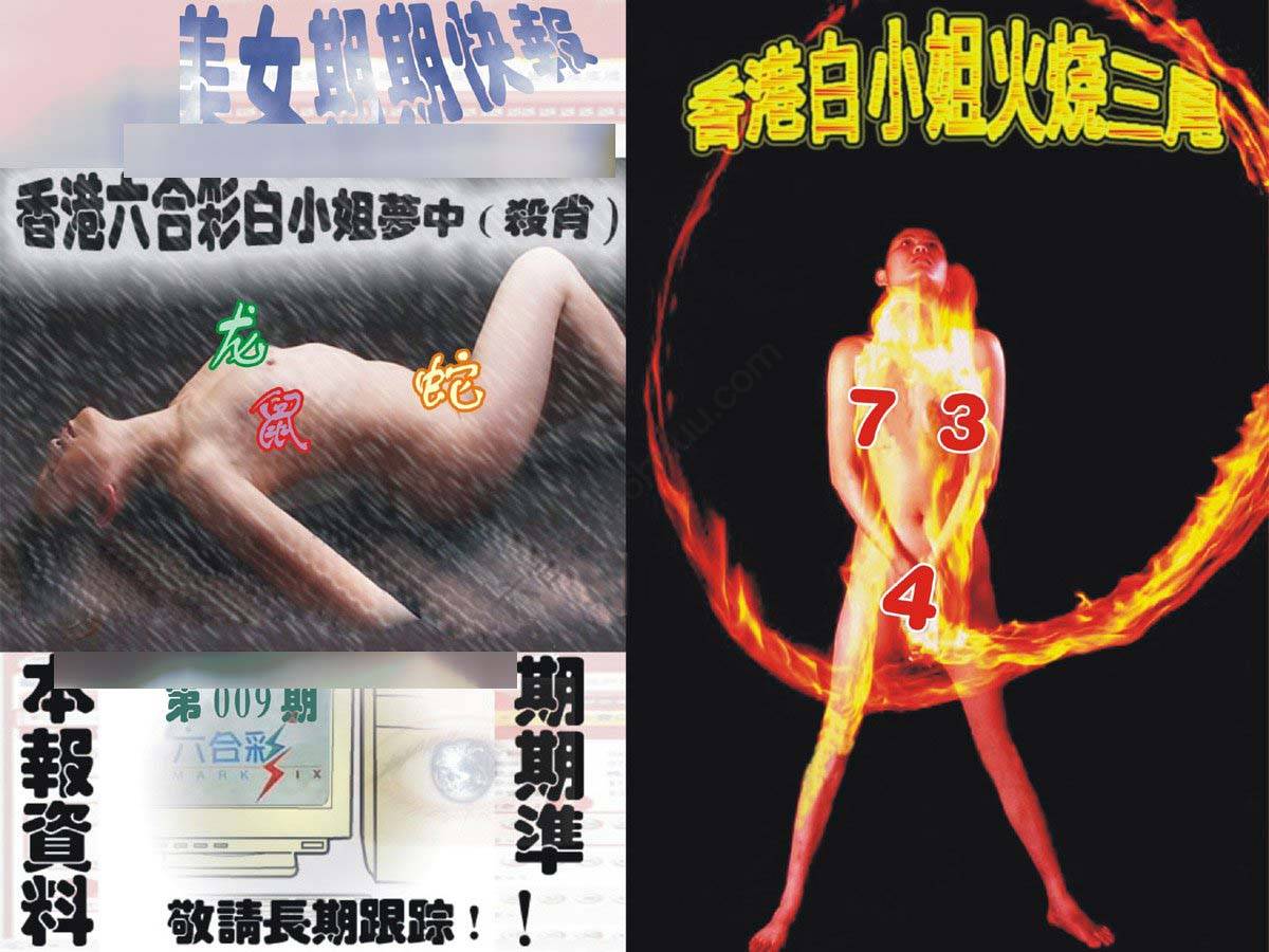 环球美女特码报