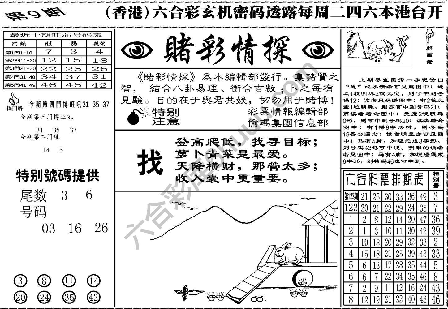 赌彩情探