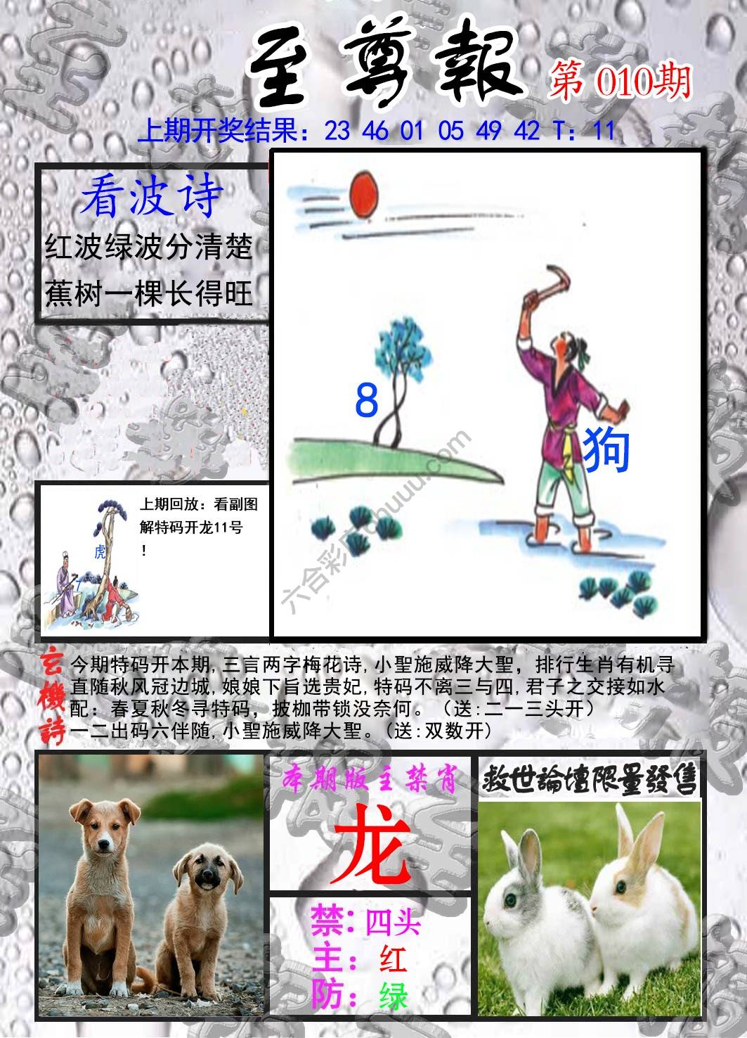 至尊报