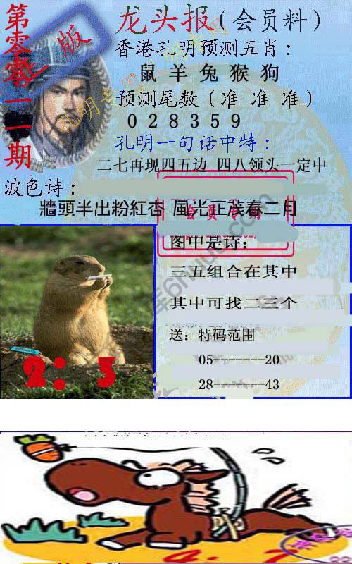 龙头报