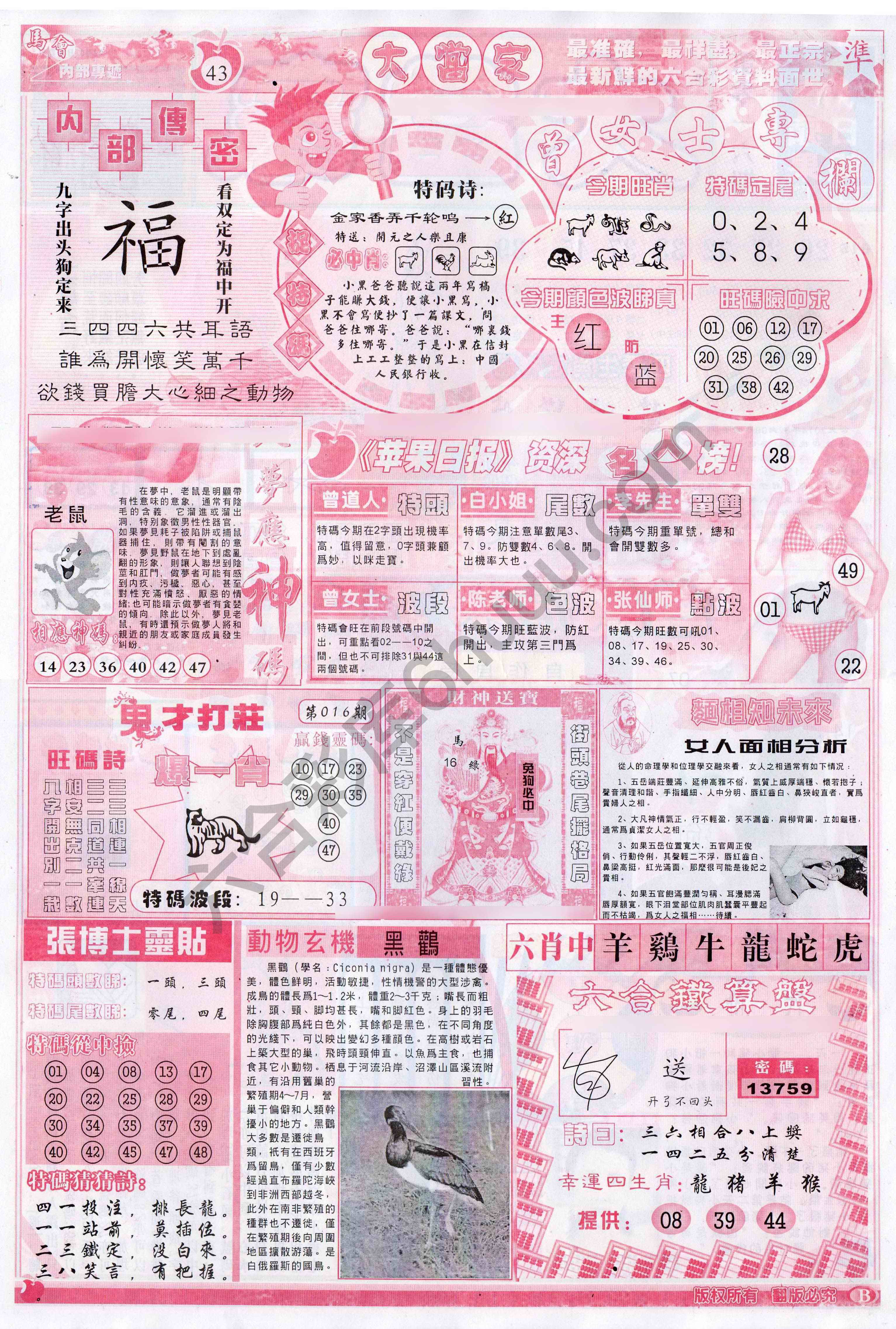大当家