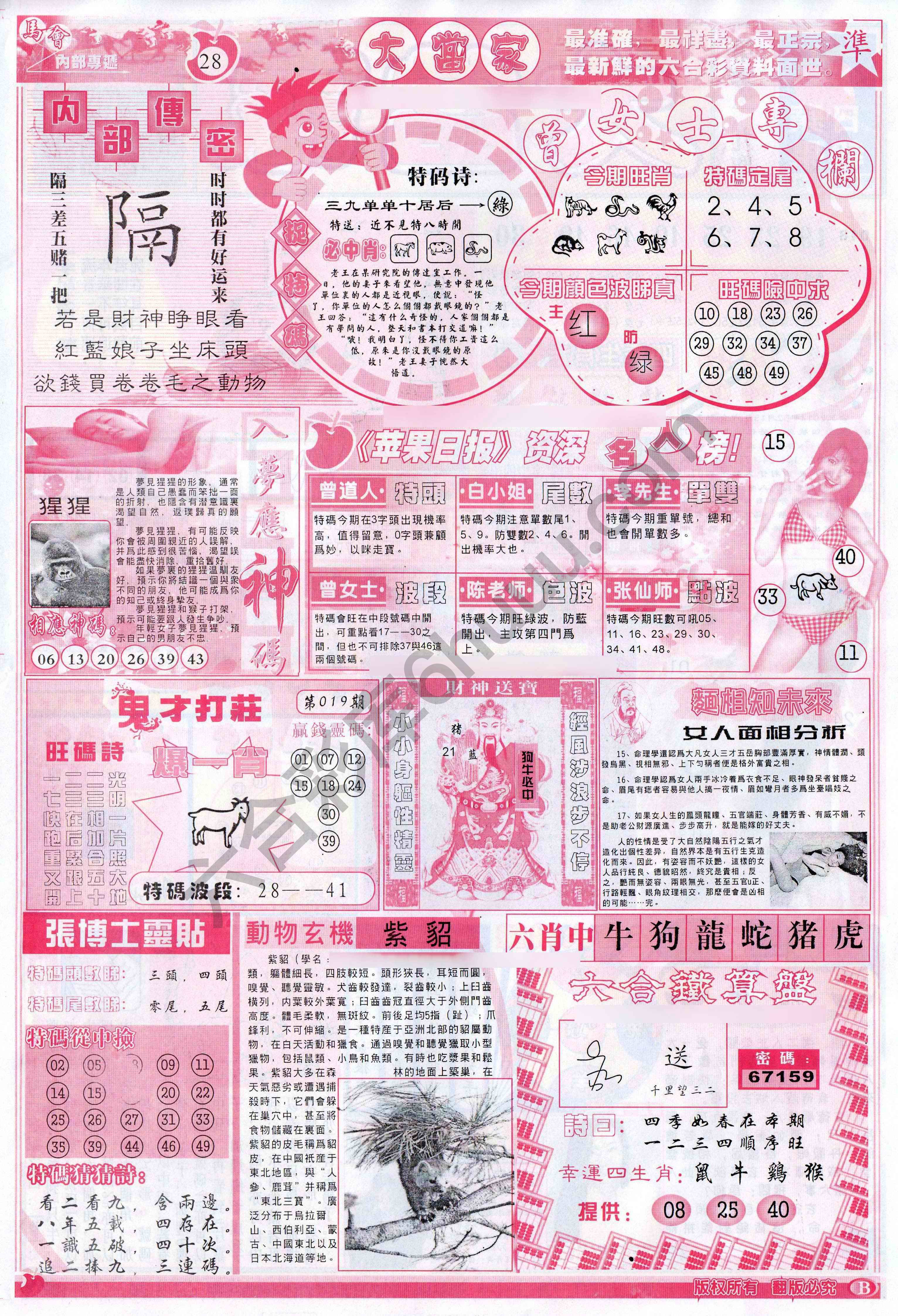 大当家