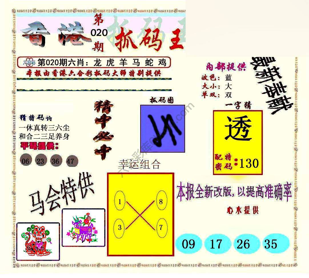新抓码王