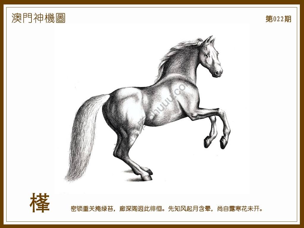 澳门神机图