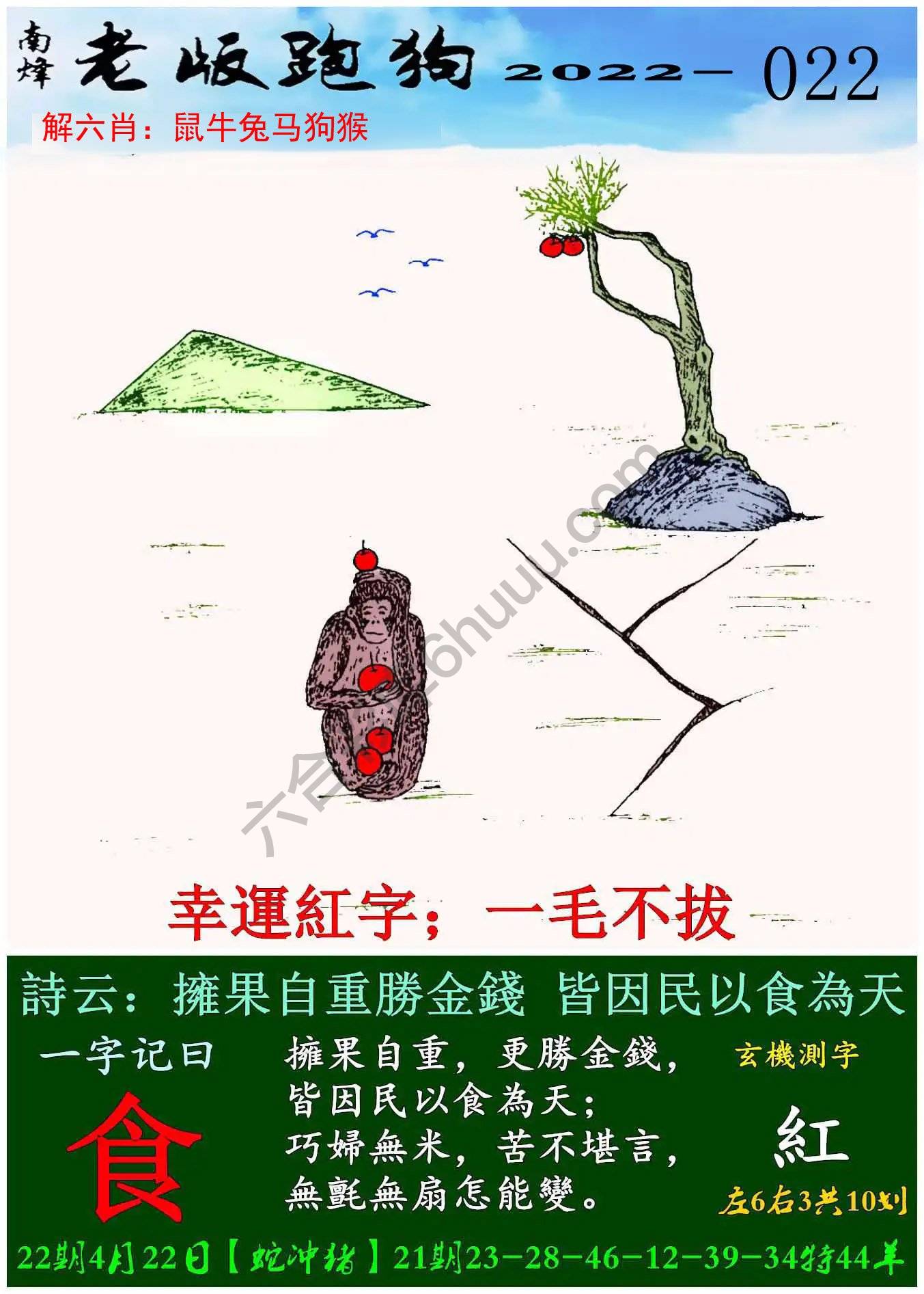 老版跑狗图