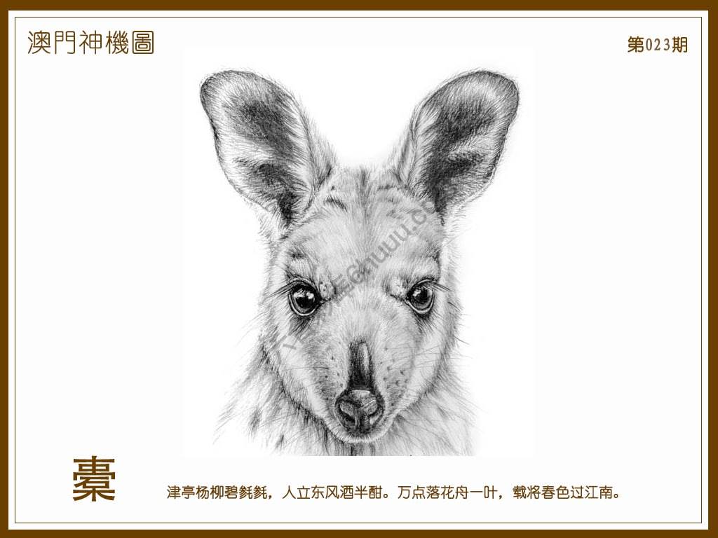 澳门神机图