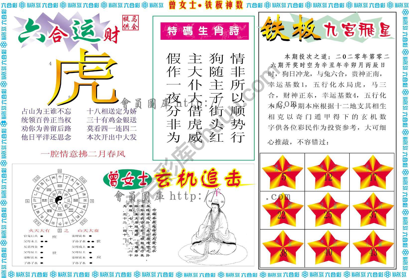 曾女士铁板神数