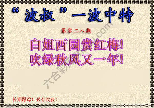 波叔一波中特