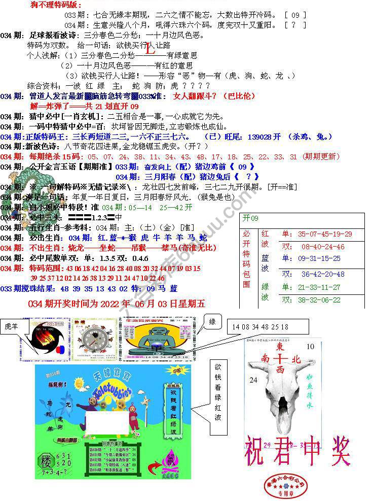 青龙五鬼报