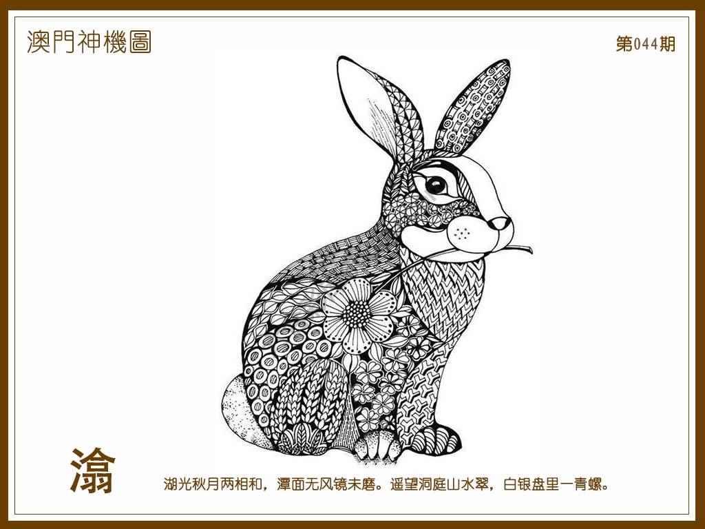 澳门神机图