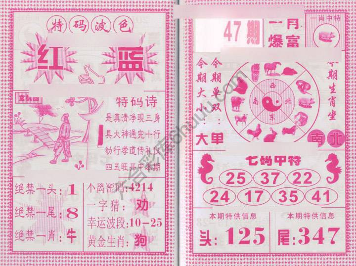 一肖爆富
