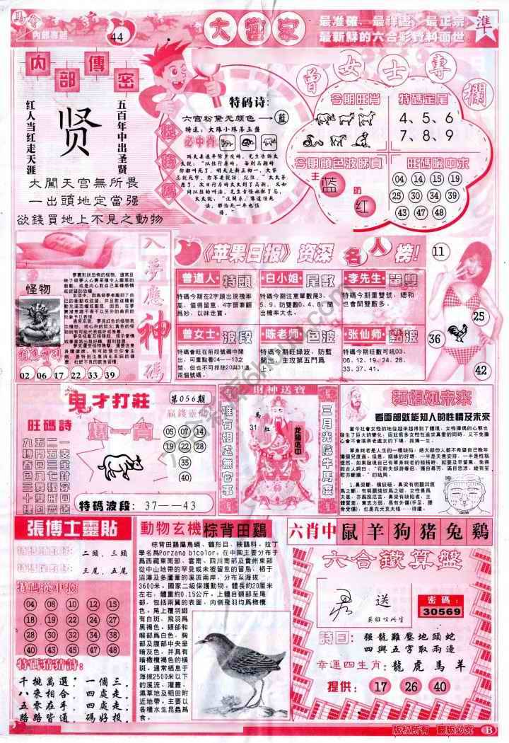 大当家