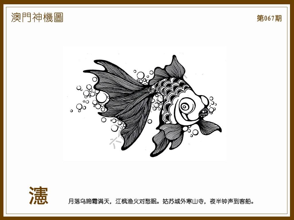 澳门神机图