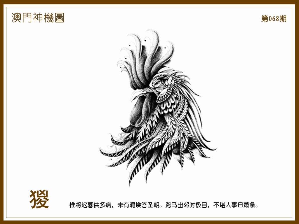 澳门神机图