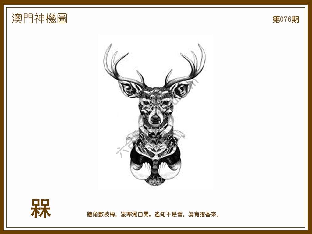 澳门神机图