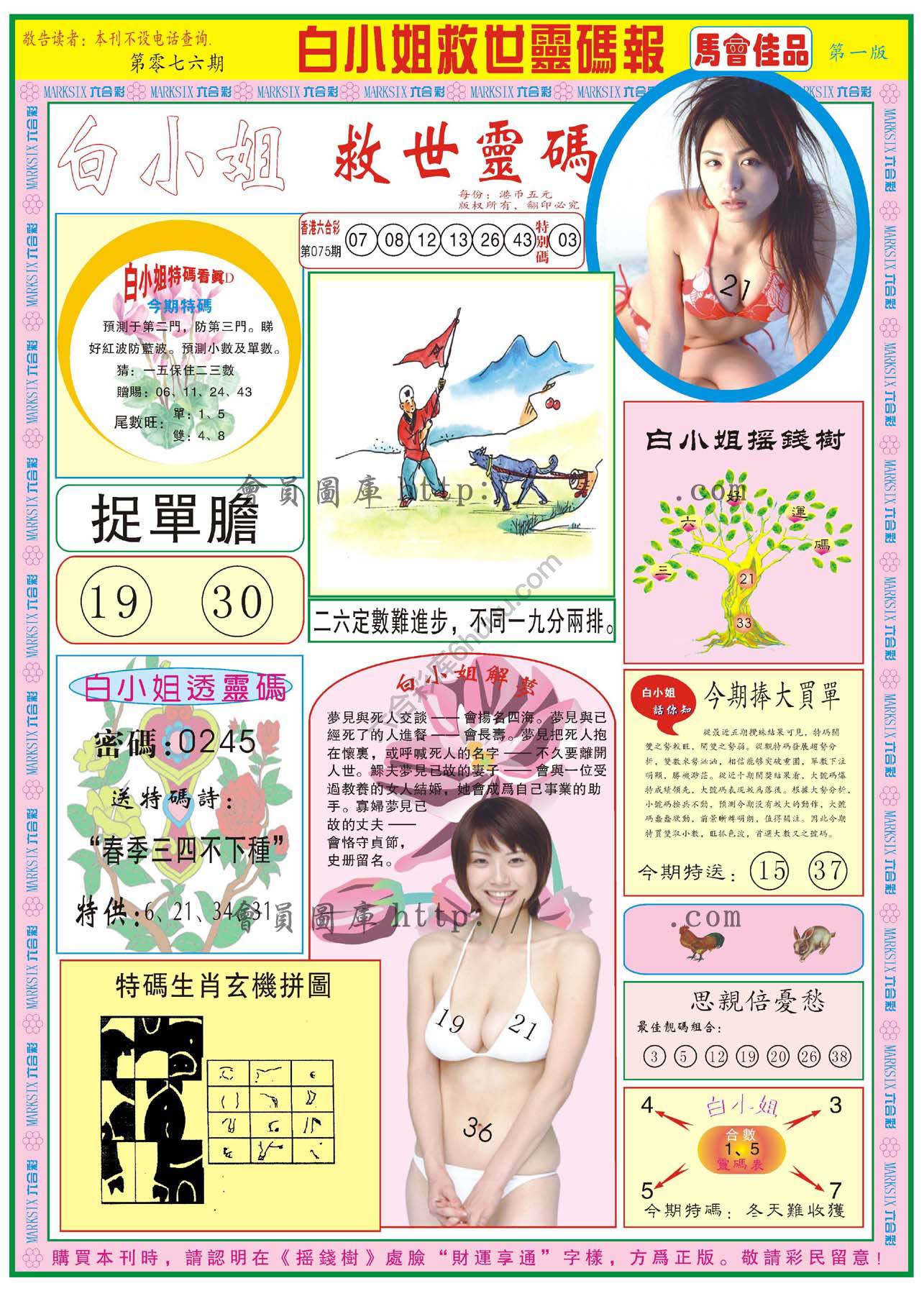 白小姐龙卷风