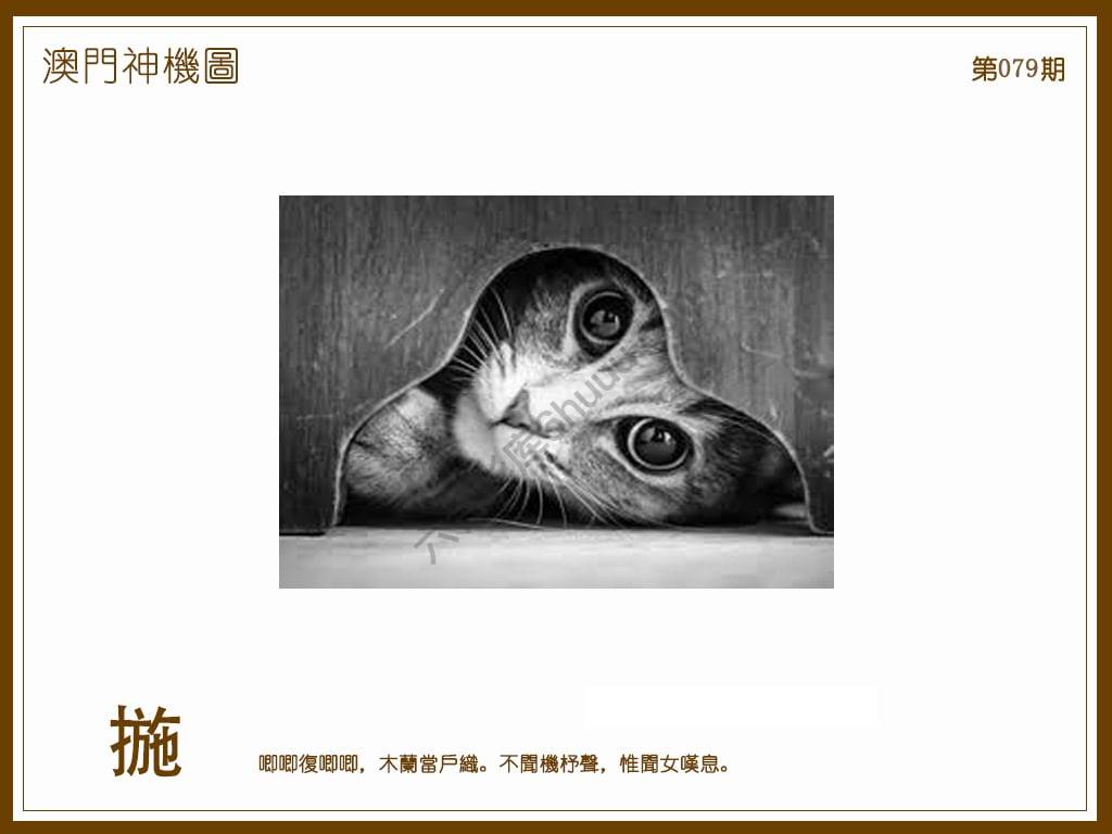 澳门神机图