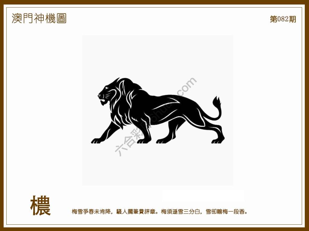 澳门神机图