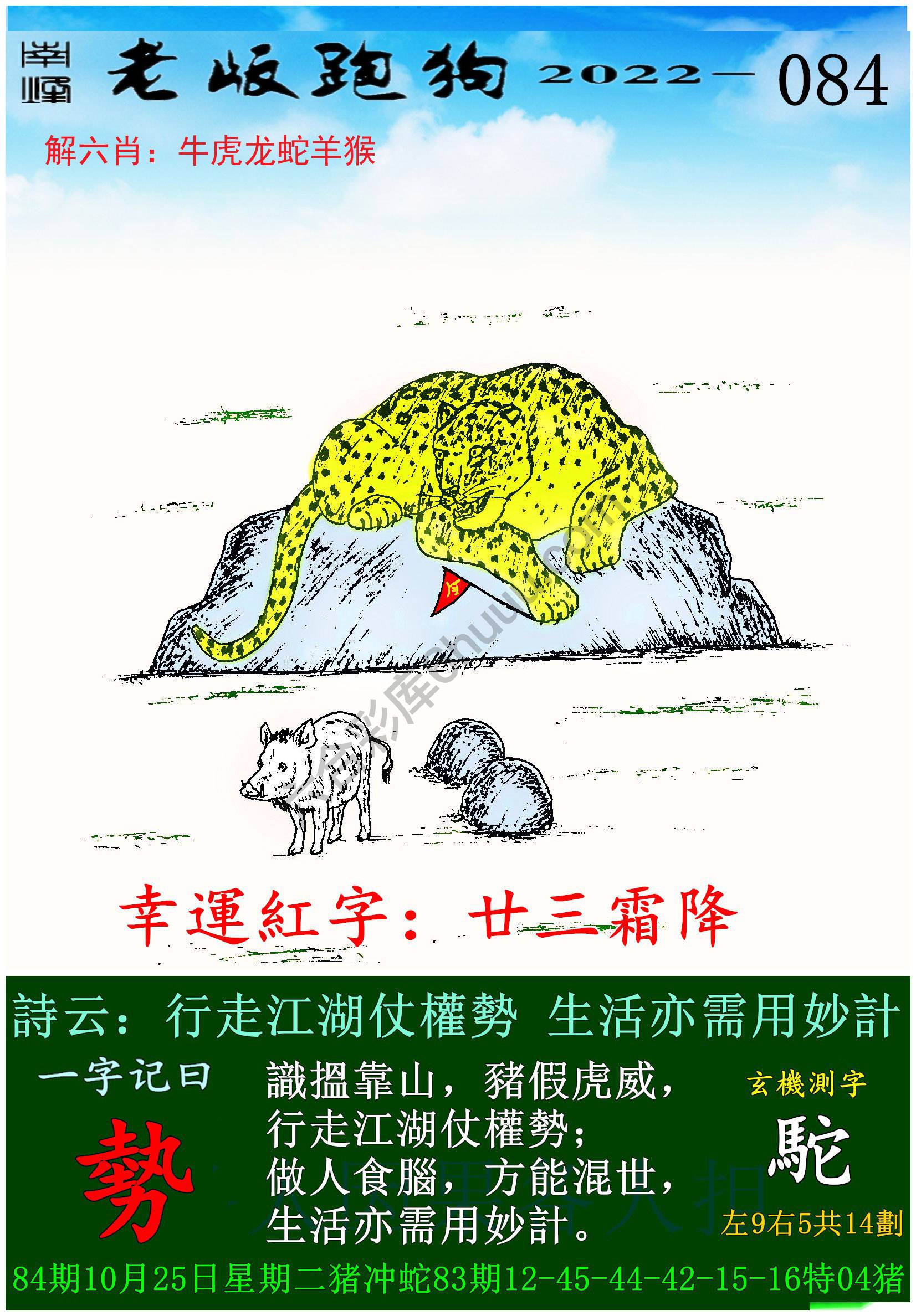老版跑狗图