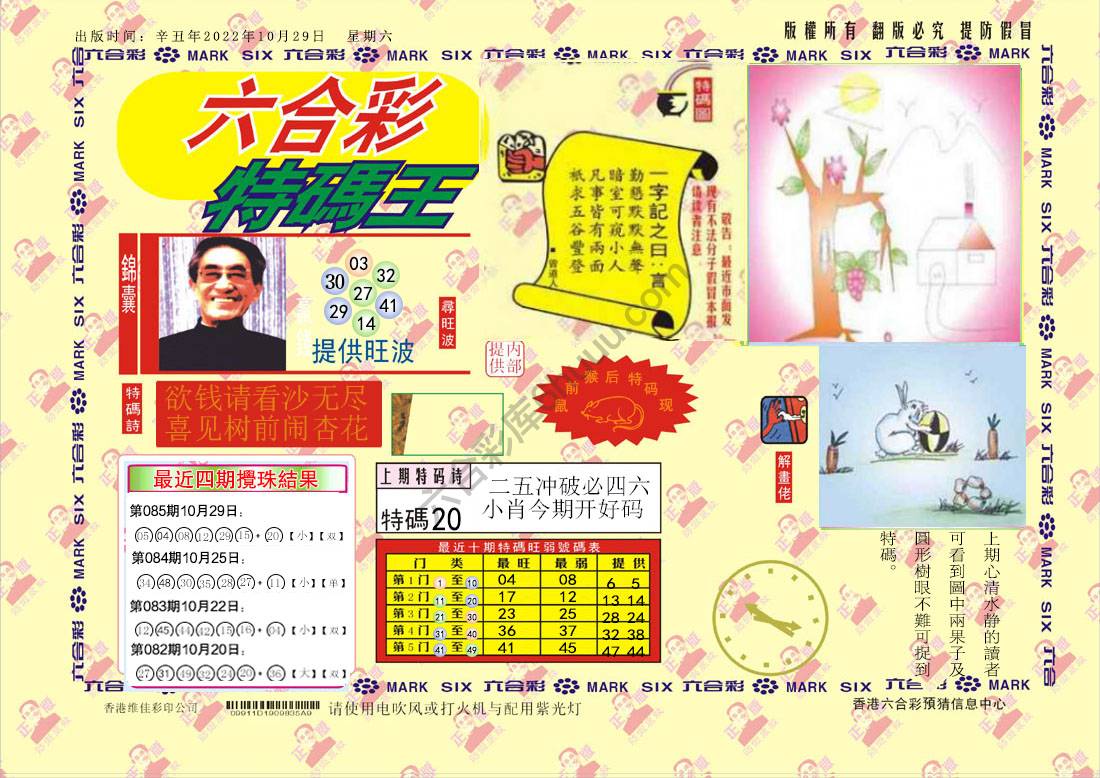 特码王