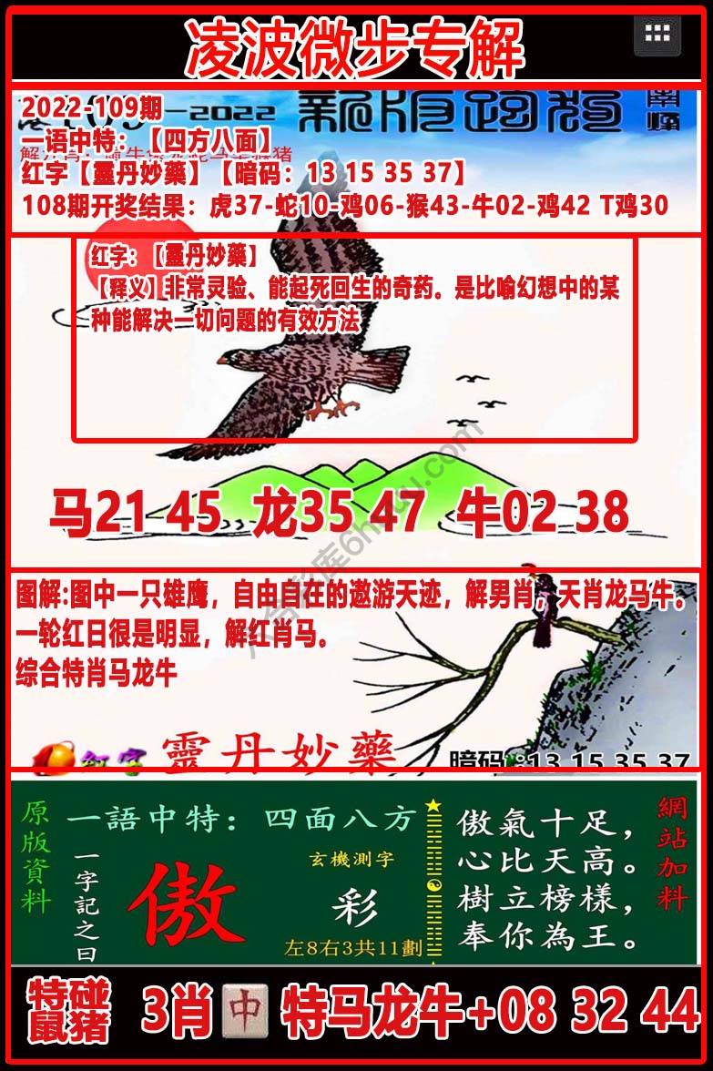 凌波微步解跑狗
