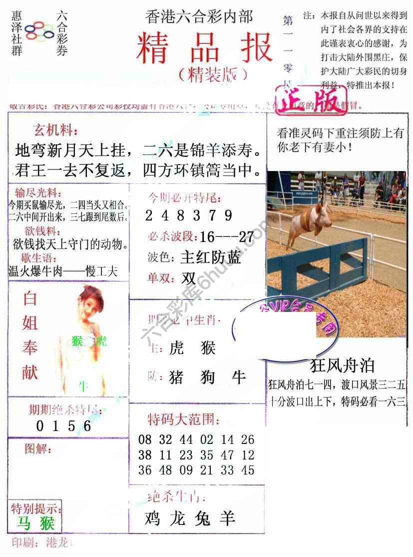 新精品报