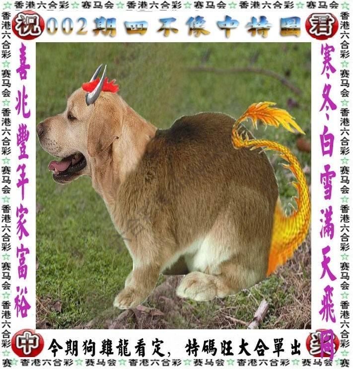 四不像中特图