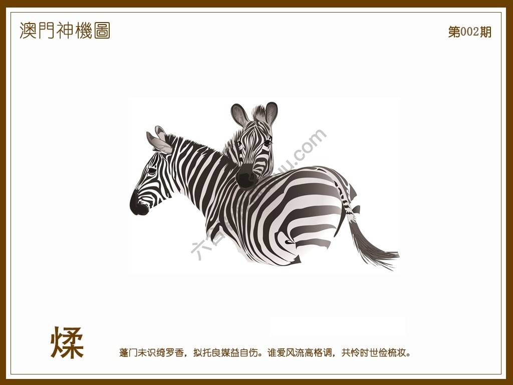 澳门神机图