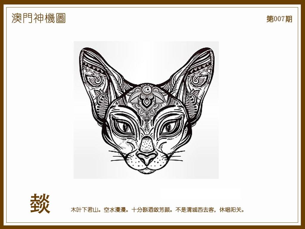 澳门神机图