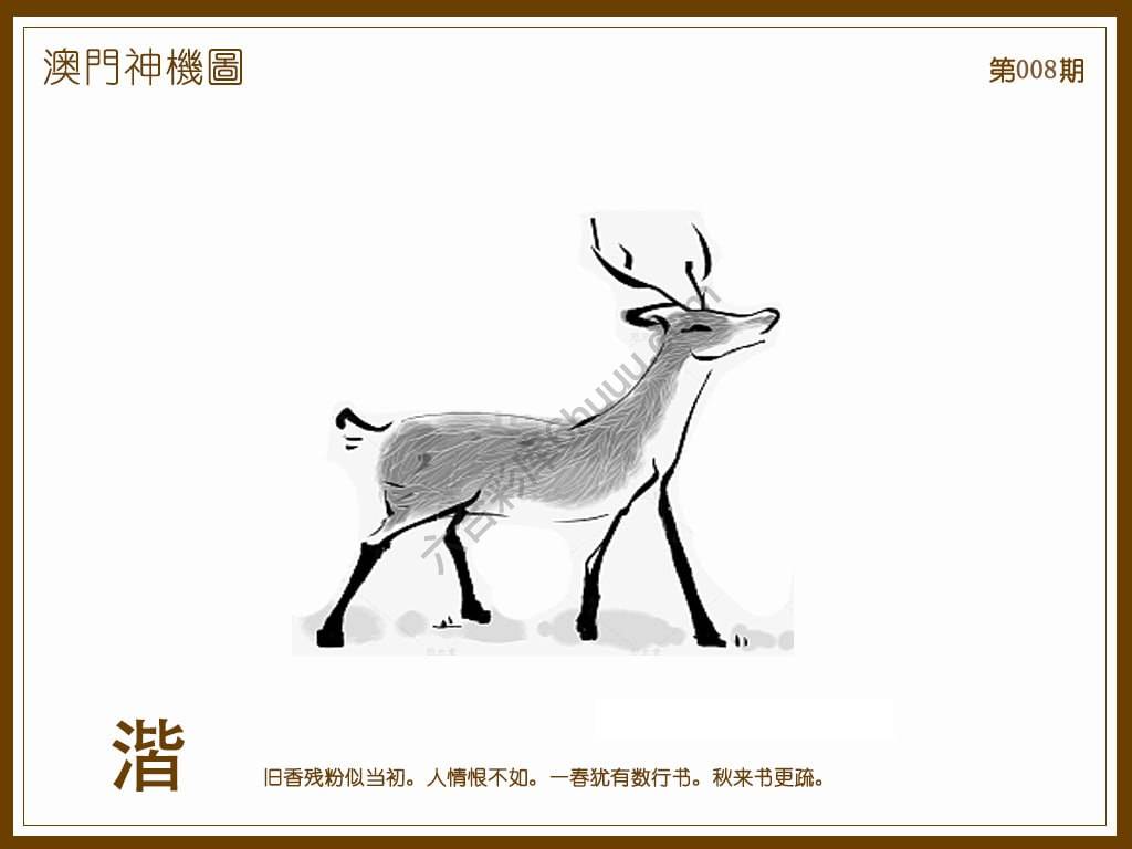 澳门神机图