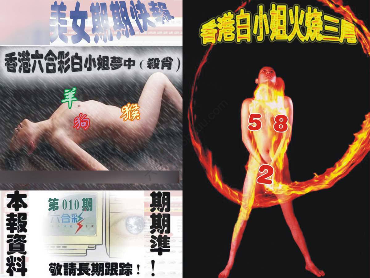 环球美女特码报