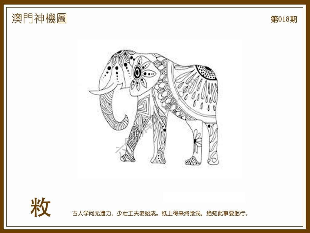 澳门神机图