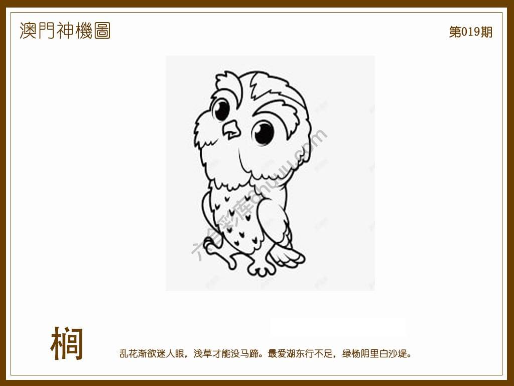 澳门神机图