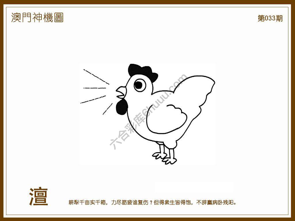 澳门神机图