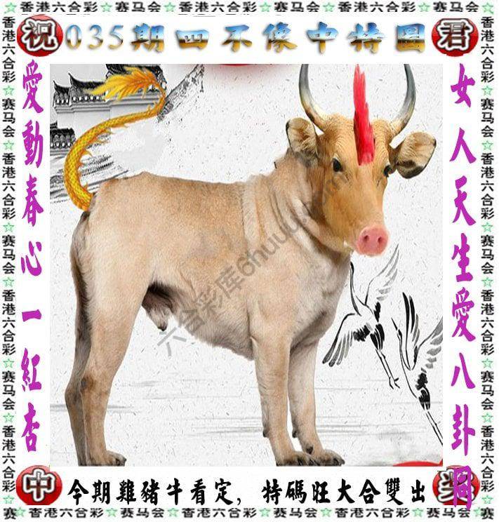 四不像中特图