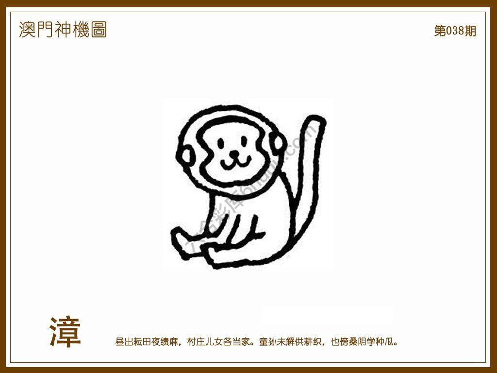 澳门神机图