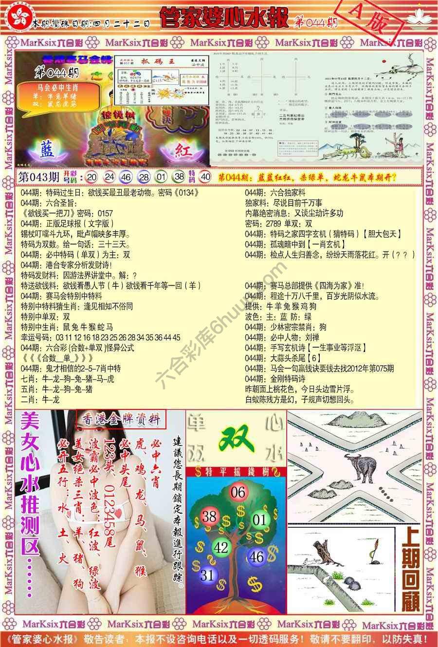 管家婆心水报