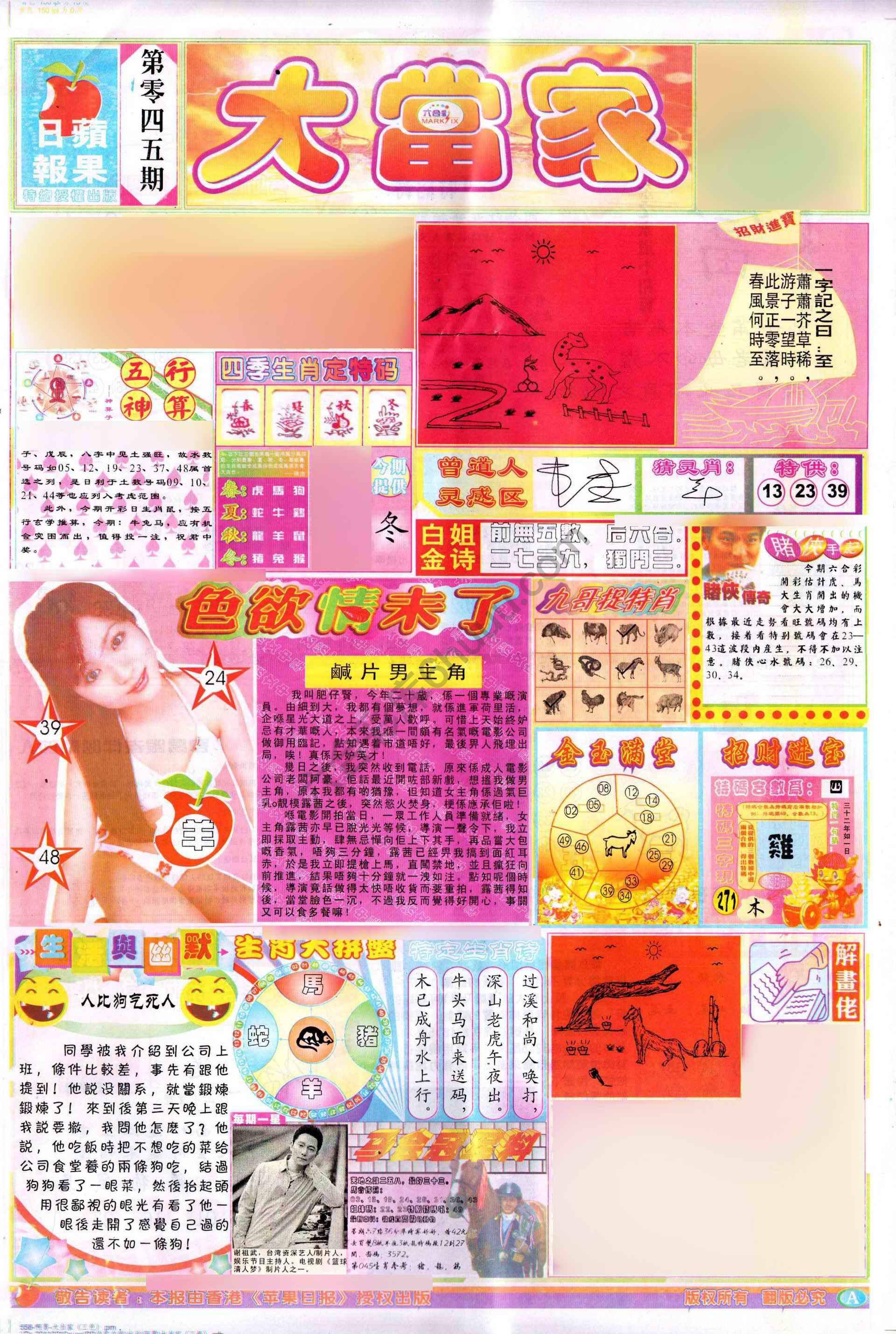 大当家