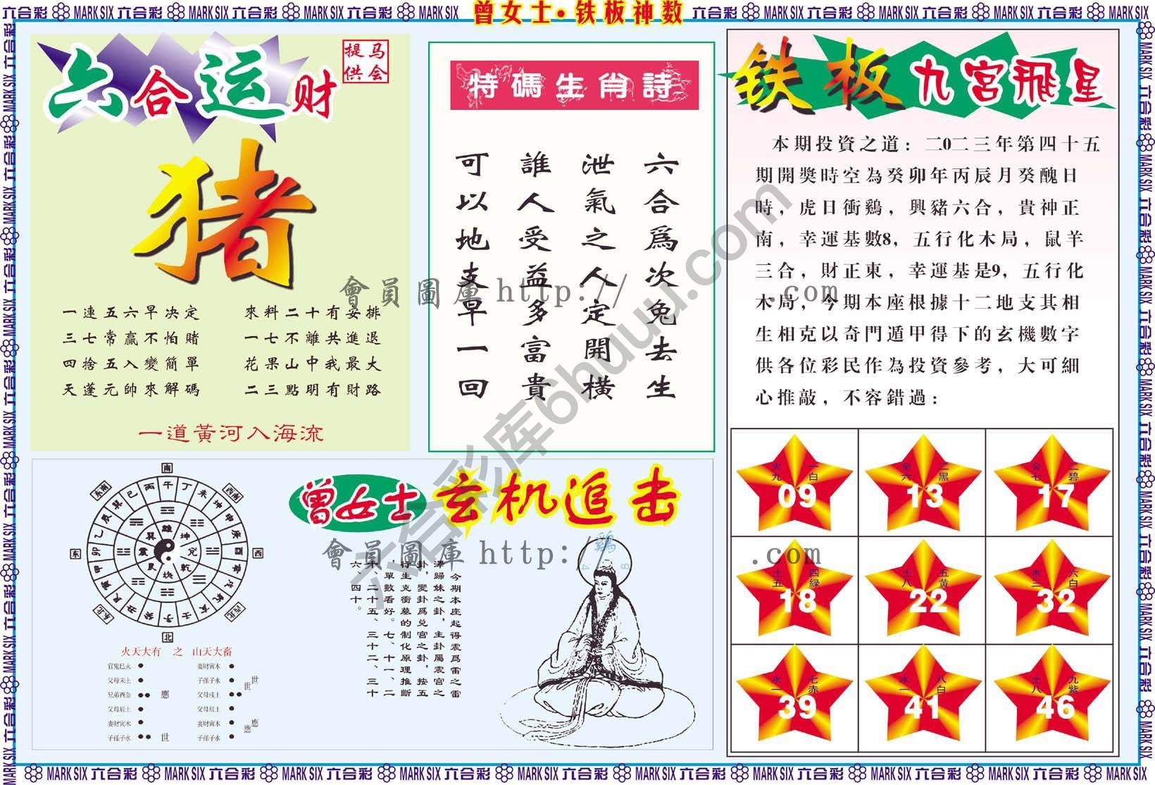 曾女士铁板神数