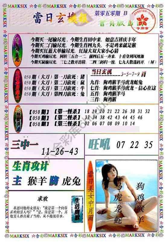 当日玄机报